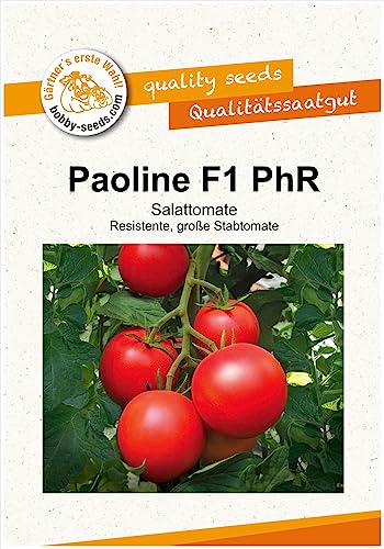 Tomatensamen Paoline PhR F1 Salattomate Portion von Gärtner's erste Wahl! bobby-seeds.com