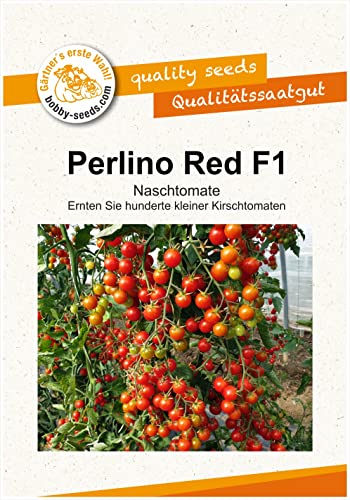 Tomatensamen Perlino Red F1 Mini-Cherrytomate Portion von Gärtner's erste Wahl! bobby-seeds.com