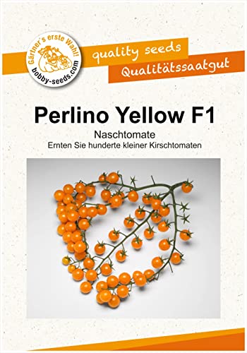 Tomatensamen Perlino Yellow F1 Mini-Cherrytomate Portion von Gärtner's erste Wahl! bobby-seeds.com