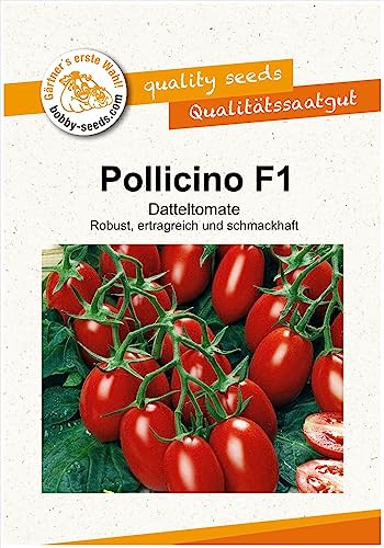 Tomatensamen Pollicino F1 Datteltomate Portion von Gärtner's erste Wahl! bobby-seeds.com