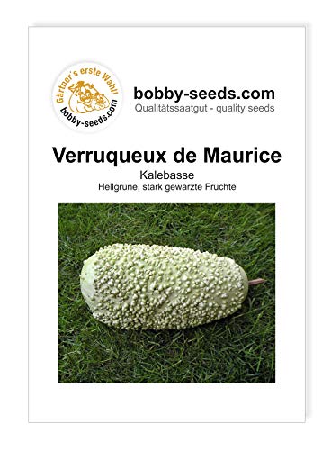 Verruqueux de Maurice Kalebassensamen von Bobby-Seeds Portion von Gärtner's erste Wahl! bobby-seeds.com