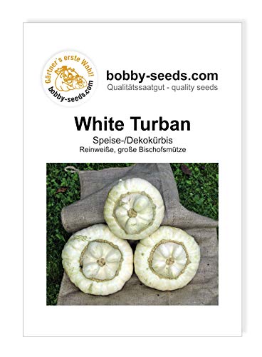 White Turban Bischofsmütze Kürbissamen von Bobby-Seeds, Portion von Gärtner's erste Wahl! bobby-seeds.com