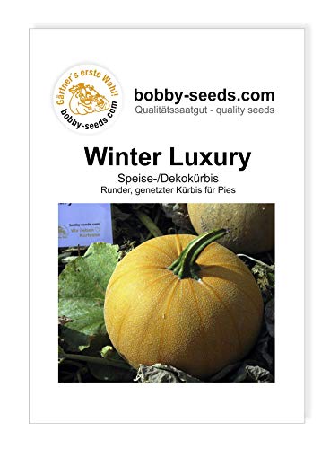 Winter Luxury Kürbissamen von Bobby-Seeds, Portion von Gärtner's erste Wahl! bobby-seeds.com