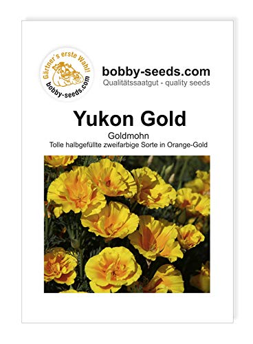 Blumensamen Yukon Gold Goldmohn Portion von Gärtner's erste Wahl! bobby-seeds.com