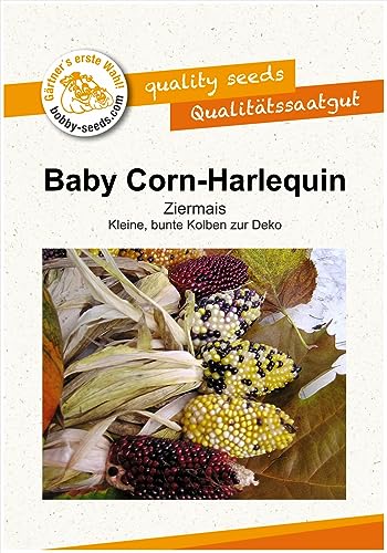 Ziermaissamen Baby Corn - Harlequin Portion Ziermaissamen Baby Corn - Harlequin Portion von Gärtner's erste Wahl! bobby-seeds.com