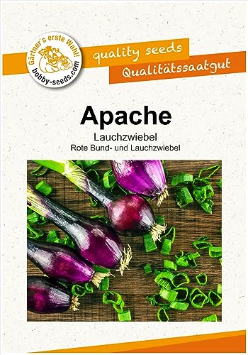Zwiebelsamen Apache rote Lauchzwiebel Portion von Gärtner's erste Wahl! bobby-seeds.com