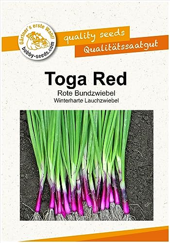 Zwiebelsamen Toga Red Winterheckenzwiebel Portion von Gärtner's erste Wahl! bobby-seeds.com