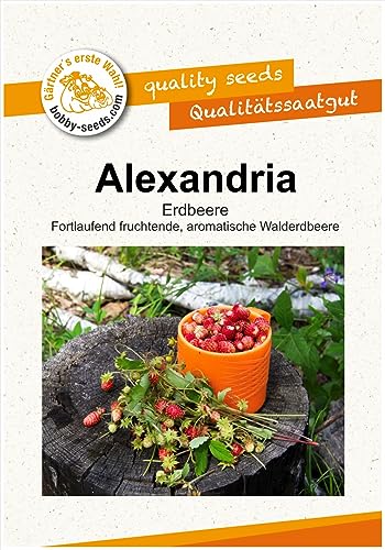 Gemüsesamen Alexandria Walderdbeere Portion von Gärtner's erste Wahl! bobby-seeds.com