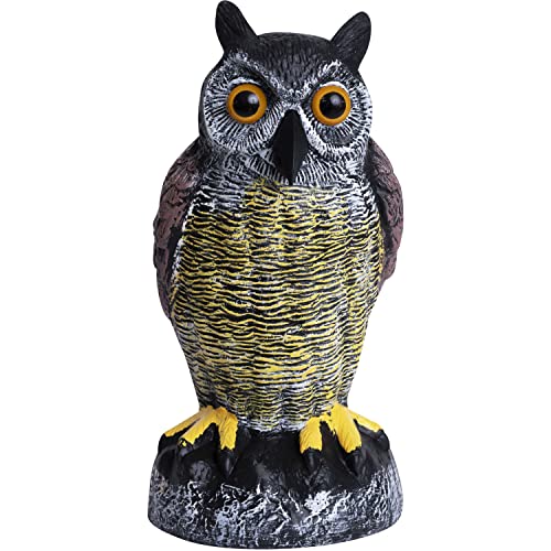 Galashield Eule Lockvögel zum Abschrecken von Vögeln | Kunststoff-Eulen zum Abschrecken von Vögeln | Eulenstatue für Garten & Outdoor Galashield Eule Lockvögel zum Abschrecken von Vögeln | Kunststoff-Eulen zum Abschrecken von Vögeln | Eulenstatue für Garten & Outdoor von Galashield