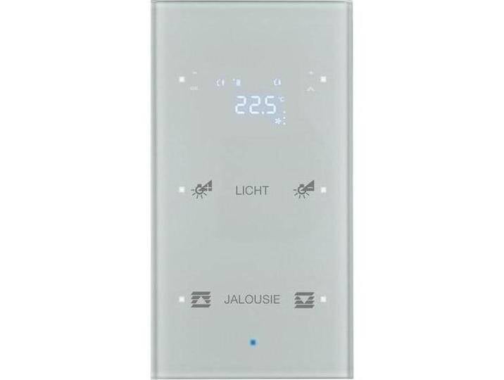 Berker, Zubehör Schalterprogramm, Glas-Sensor 2fach mit Raum 75642134 von Galaxus