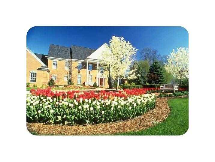 Green Split, Rasenkante, 20er Set Ultra Starke Alu Rasenkanten 24cm x 1m (20m lang) Beeteinfassung Beetumrandung Beetbe (100 cm) von Galaxus