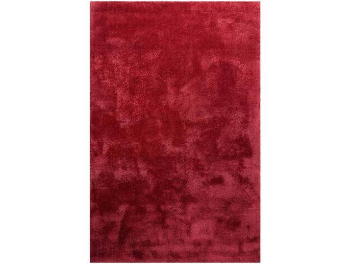 Homie Living, Teppich, Pisa (200 x 290 cm) von Galaxus