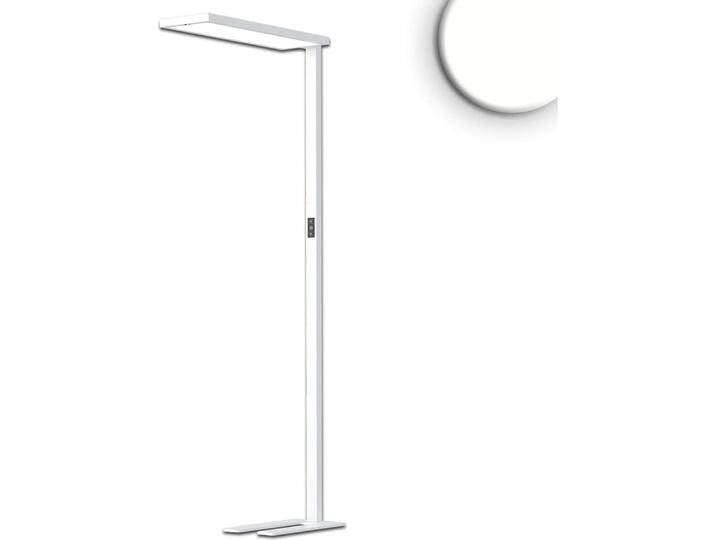 Isoled, Stehlampe, LED Office Pro Stehleuchte Up/Down, 80W/20W, Weiss, UGR<19, neutralweiss, Touch-Dimm Isoled, Stehlampe, LED Office Pro Stehleuchte Up/Down, 80W/20W, Weiss, UGR<19, neutralweiss, Touch-Dimm von Galaxus