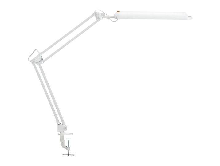 Maul, Tischlampe, LED-Leuchte Maul, Tischlampe, LED-Leuchte von Galaxus