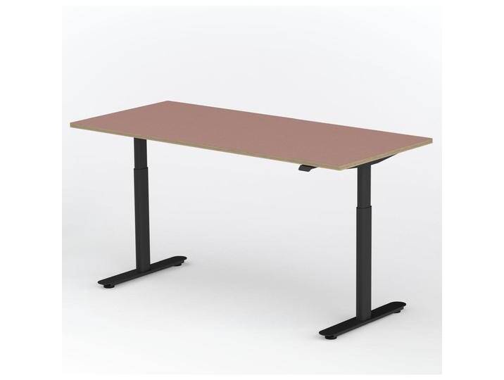 ofinto, Schreibtisch, Rise, mit Kabelmanagement-System von Galaxus