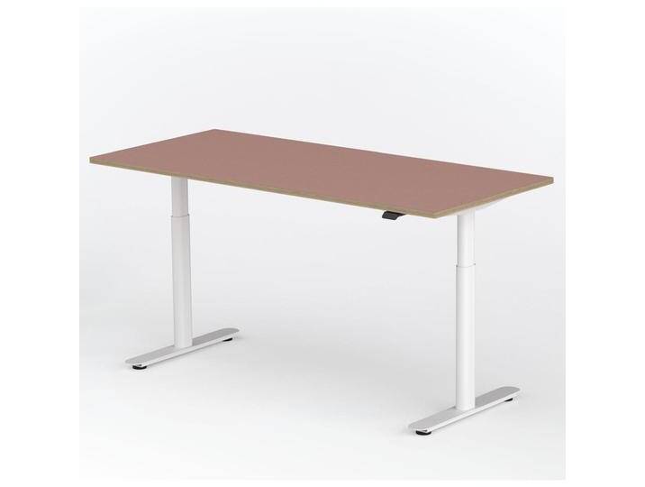 ofinto, Schreibtisch, Rise, mit Kabelmanagement-System von Galaxus