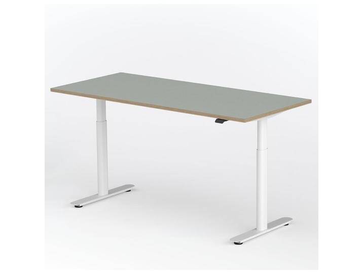 ofinto, Schreibtisch, Rise, mit Kabelmanagement-System von Galaxus