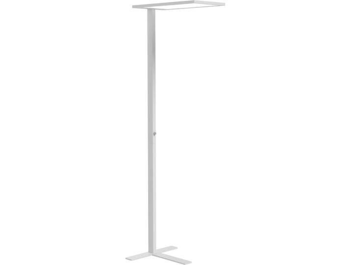 ofinto, Stehlampe, Lumino (10000 lm) von Galaxus