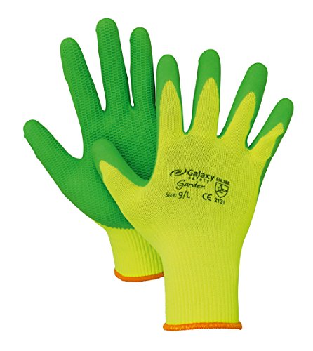 Galaxy Safety 207 08 Handschuhe aus Latex-Schaum grün 8/Medium von Galaxy Safety