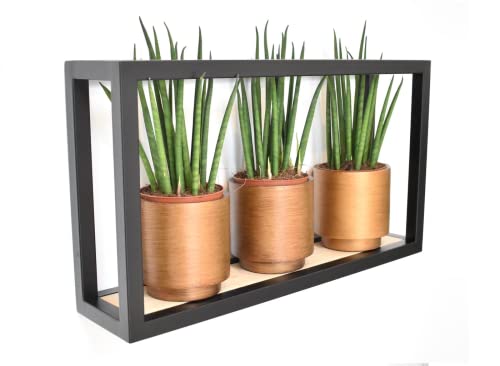 Galeara design Wandregal Metall Schwarz mit Bambusholz SOTO - Leicht zu Hängen,- Deko 52cm x 27cm x 12cm Galeara design Wandregal Metall Schwarz mit Bambusholz SOTO - Leicht zu Hängen,- Deko 52cm x 27cm x 12cm von Galeara design