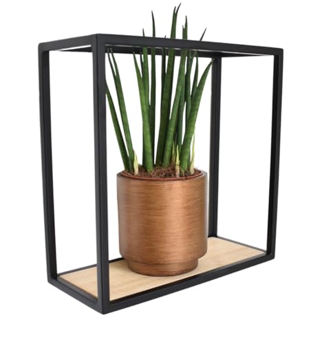 Galeara Design Wandregal SOTO - Metall Schwarz oder Weiß Mit Bambusholz - Leicht zu Hängen, Deko - Kleines Regal (Soto-Schwarz-dünn, 24cm x 24cm x 12cm) von Galeara design
