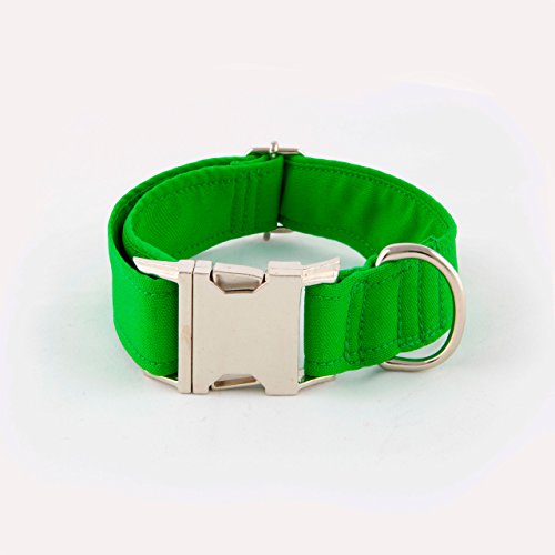 Galguita Amelie 0634438972488 Click Hundehalsband, M, grün von Galguita Amelie