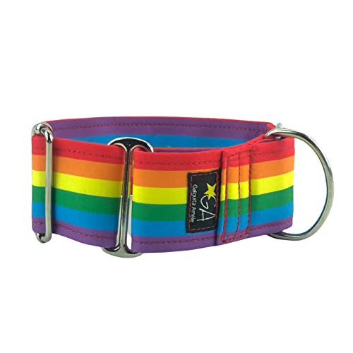 Galguita Amelie 0634438563914 Halsband für Hunde Rainbow, M von Galguita Amelie