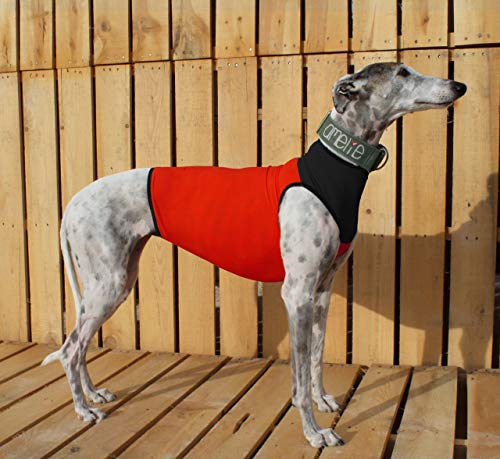 Galguita Amelie Peto Lycra für Galgo, Rot und Schwarz, Größe M von Galguita Amelie