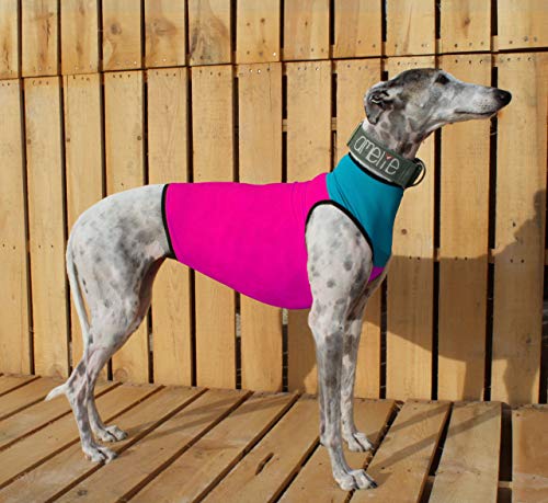 Galguita Amelie Peto – Lycra für Galgo – Rosa und Blau Größe S (57 – 66 cm Brustumfang) von Galguita Amelie