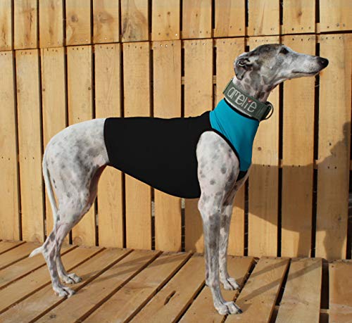 Galguita Amelie Latzhose aus Lycra für Windhunde, Schwarz und Blau, Größe L (78-87 cm Durchmesser Brust) von Galguita Amelie