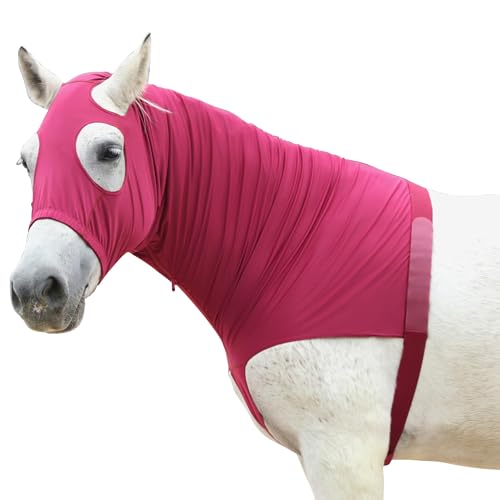 Gallopoff Halsteil Pferd Ekzem, Brustschutz Pferd Decke, Halsdecke Pferd, Schulterschutz für Pferde, Stretch Pferd Kapuze mit Reißverschluss und Vollgesicht Halsabdeckung Gallopoff Halsteil Pferd Ekzem, Brustschutz Pferd Decke, Halsdecke Pferd, Schulterschutz für Pferde, Stretch Pferd Kapuze mit Reißverschluss und Vollgesicht Halsabdeckung von Gallopoff
