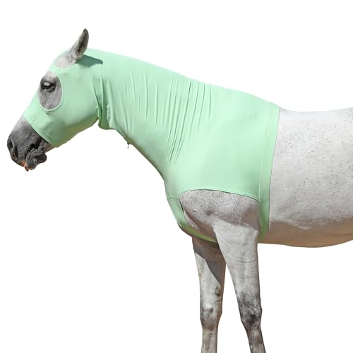 Gallopoff Halsteil Ekzem, Brustschutz Pferd Decke, Halsdecke Pferd, Schulterschutz für Pferde, Stretch Kapuze mit Reißverschluss und Vollgesicht Halsabdeckung Gallopoff Halsteil Ekzem, Brustschutz Pferd Decke, Halsdecke Pferd, Schulterschutz für Pferde, Stretch Kapuze mit Reißverschluss und Vollgesicht Halsabdeckung von Gallopoff