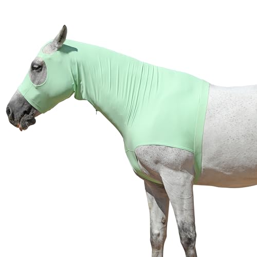 Pferde-Stretchhaube mit Reißverschluss, Vollgesichts- & Halsabdeckung für süßen Juckreiz - Mähnenschutz & Fliegenschutz PaleGreen Medium von Gallopoff