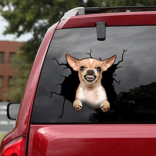 Autoaufkleber Autoaufkleber Combo Aufkleber Aufkleber für Auto SUV Fenster, Pitbull Crack Rottweiler Crack Auto Aufkleber Hunde Auto Aufkleber (Angry Chihuahua) von GangZhENgSd