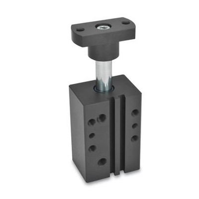 875-50-20-R-F Schwenkspanner, in Blockbauweise von Ganter Norm