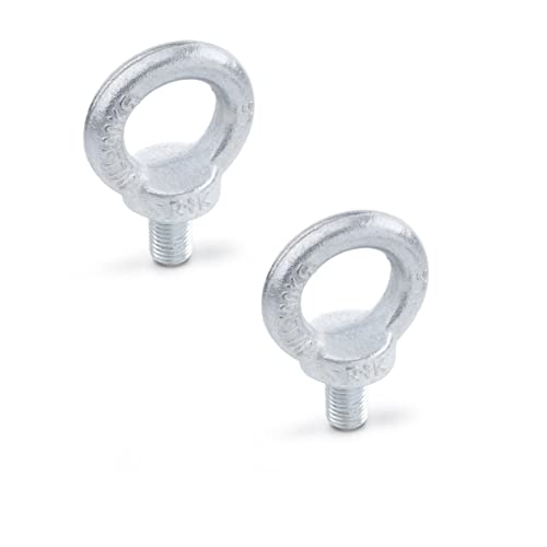 Ganter Normelemente | Ringschraube - DIN 580-M12-ST | Stahl | Gewinde M12 | 2 Stück Ganter Normelemente | Ringschraube - DIN 580-M12-ST | Stahl | Gewinde M12 | 2 Stück von Ganter Normelemente
