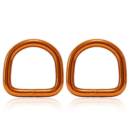 Ganzoo D - Ring aus Stahl, 2er Set, Innenmaß 21mm, Materialstärke 4mm, DIY Hunde-Halsband, nichtrostend, geschweißt, Ideal mit Paracord 550, Farbe orange von Ganzoo