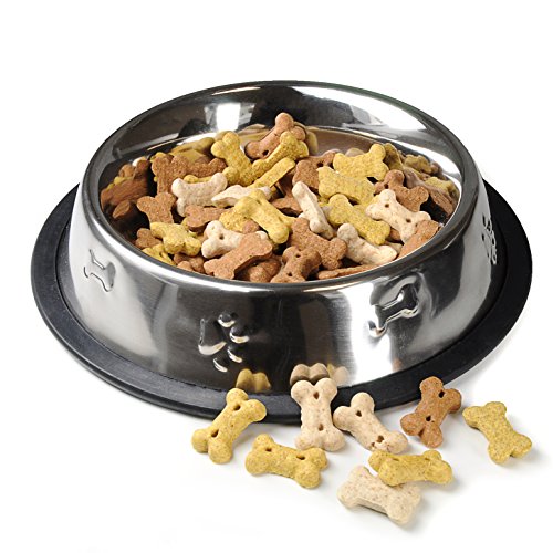 YOUZiNGS Futter-Napf für Hunde und Katzen (500ml) aus Edelstahl, rutschfest, Hunde-Napf aus Metall inkl. Anti-Rutsch-Gummi, Fressnapf oder Trink-Napf (Wasser-Napf) in der Farbe: Silber - Marke von Ganzoo