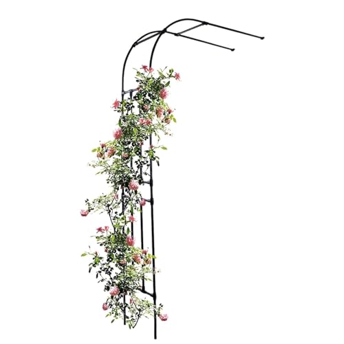 Gartenbogen Rosenbogen Schwarzer halbseitiger Gartenbogen aus Metall, 2,4 m halbrunder Rosenbogen, an der Wand montierte Gartenbögen für Kletterpflanzen, Spalier-Pergola-Laube für Rasen, Hinterhof, Te von Gaommini