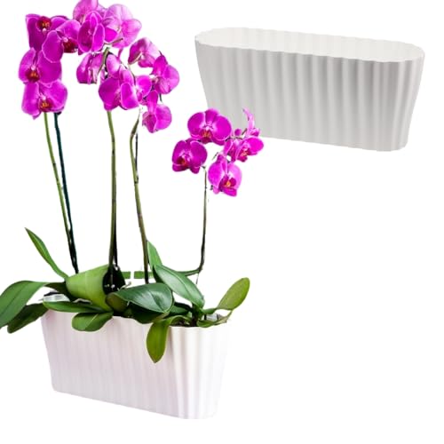 GarPet 2X Orchideentopf Orchideen Übertopf Pflanztöpfe Übertöpfe für Orchideen aus Kunststoff Innen Elegant Orchideentopf groß weiß von GarPet