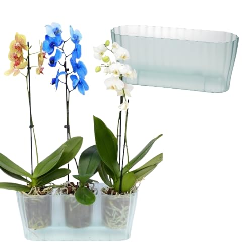 GarPet 2X Orchideentopf Transparent Orchideen Übertopf Pflanztöpfe Übertöpfe für Orchideen aus Kunststoff Innen Elegant Durchsichtig Orchideentopf groß von GarPet