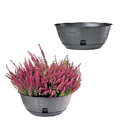 GarPet 2X Pflanzschale Blumenschale Pflanzschalen für draussen Bonsai Topf Pflanzschale Rund inkl. Untersetzer Grabschale Anthrazit 30 cm von GarPet