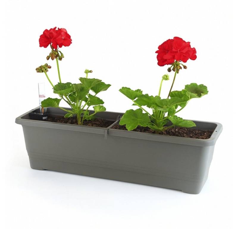 GarPet Blumenkasten Blumenkasten Balkonkasten Geländer Wasserspeicher Halterung 50 60 80 von GarPet