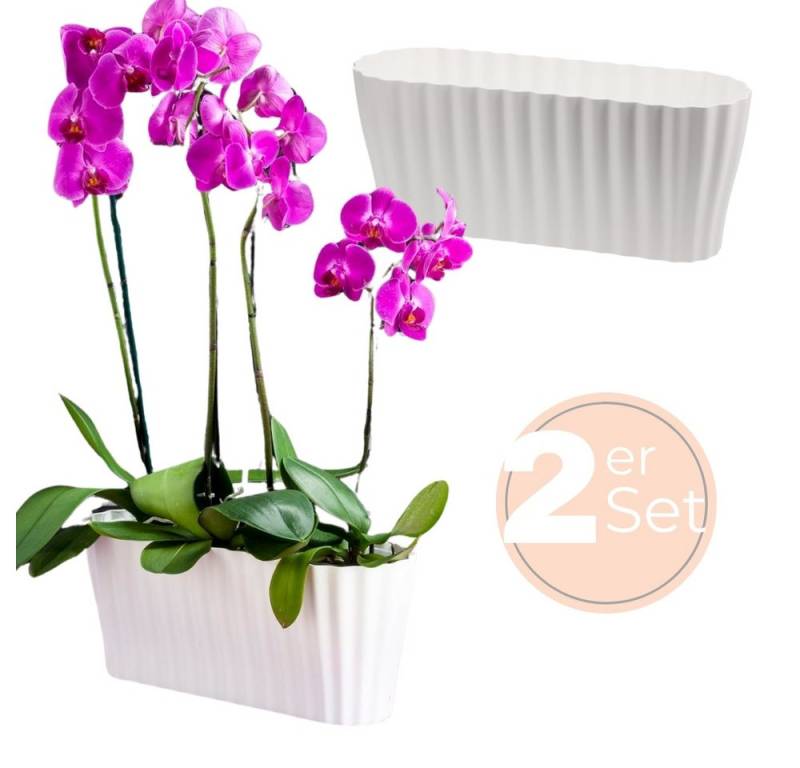 GarPet Blumentopf 2x Orchideentopf Kunstoff Elegant Orchideen Über Pflanz Topf groß weiß von GarPet