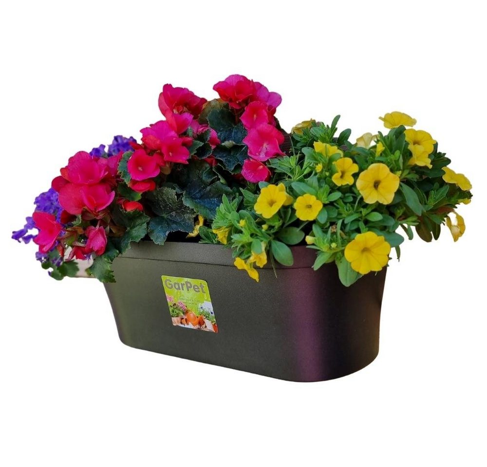 GarPet Blumentopf Wand Blumentopf Topf Pflanz Gefäß Blumen Kasten Wandampel Anthrazit von GarPet