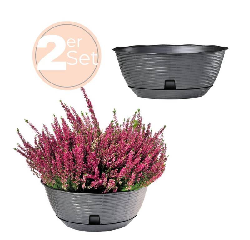 GarPet Pflanzschale 2x Pflanzschale Blumenschale draussen Bonsai Grabschale Anthrazit 30cm von GarPet