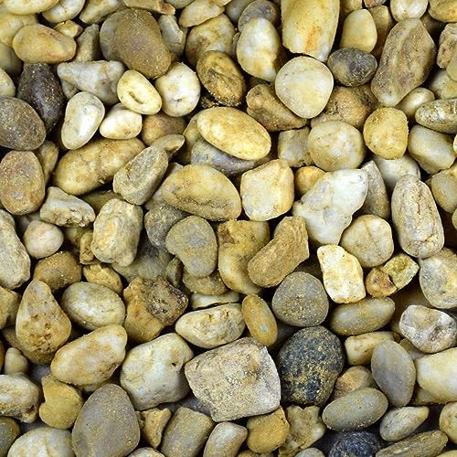 Kieselsteine Garten Quarzkies Zierkies 16-32 mm 25 kg Buntkies Teichkies Aquarium Kies Weg Steinteppich Zierstein Quarz von GarPet