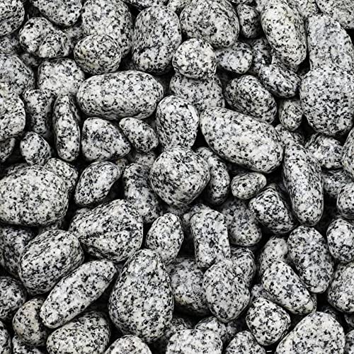 Zierkies Gletscherkies Granit Grau Aquarium Garten Kies Kieselstein Deko 25 Kg 25-40 mm von GarPet