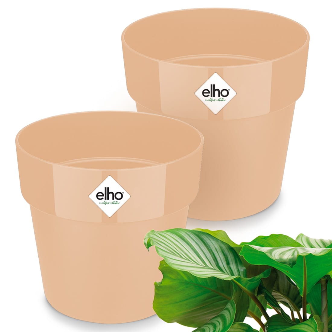 Blumentopf 2er-Set Pfirsisch 18x17cm 2,9L von Gardebruk®