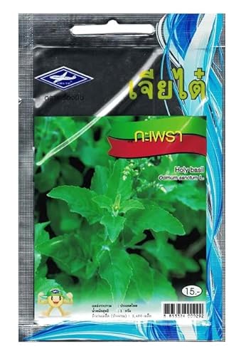 Chia Tai Gartensamen, Basilikum Heilig Thai Holy Basil, 2400 Samen von Garden at Home